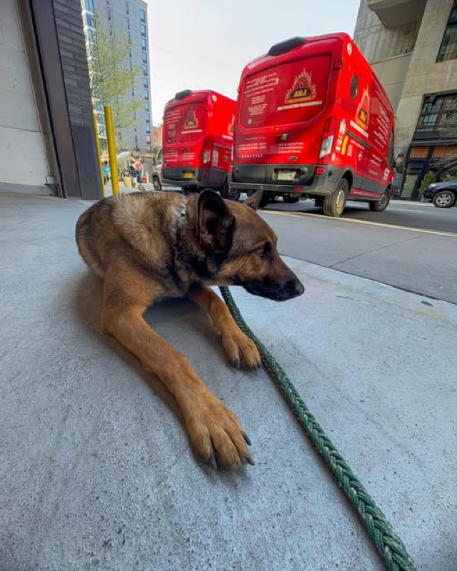 A&J Fire Extinguisher service vans ready for fire extinguisher inspection and tagging in Brooklyn, NYC